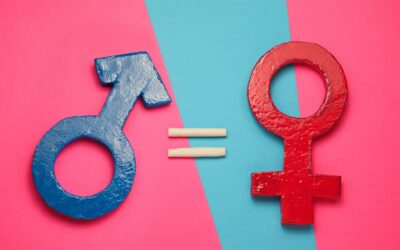 Preconceito de género na tradução automática e a importância da diversidade